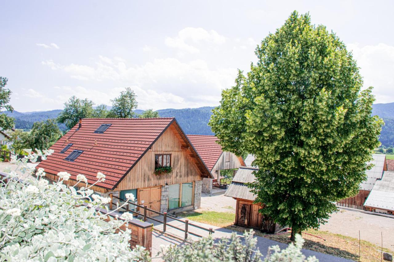 Youth Hostel Arsviva Stari Trg pri Lozu Exterior foto