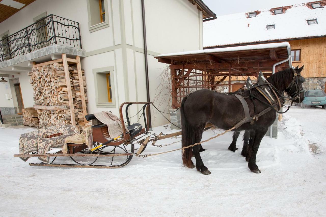 Youth Hostel Arsviva Stari Trg pri Lozu Exterior foto